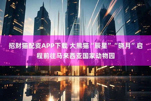 招财猫配资APP下载 大熊猫“辰星”“晓月”启程前往马来西亚国家动物园