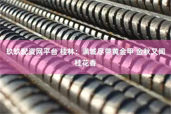 玖玖配资网平台 桂林：满城尽带黄金甲 金秋又闻桂花香