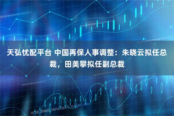 天弘忧配平台 中国再保人事调整：朱晓云拟任总裁，田美攀拟任副总裁