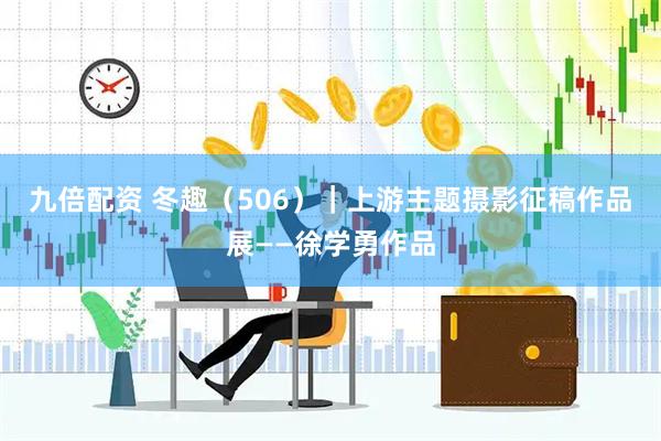 九倍配资 冬趣（506）｜上游主题摄影征稿作品展——徐学勇作品