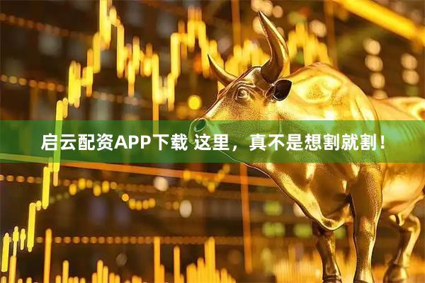 启云配资APP下载 这里，真不是想割就割！